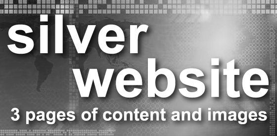 silver website -3 pages of content and images