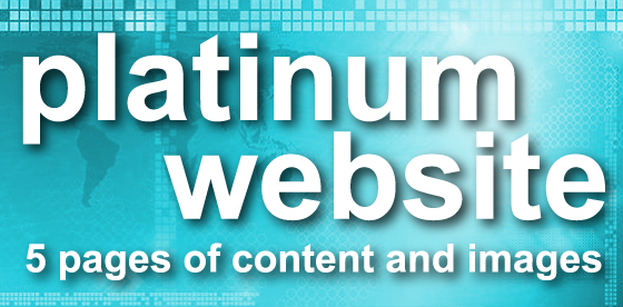 platinum website - 5 pages of content and images