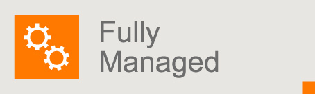 Fully Managed Websites