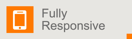 Mobile Friendly Websites